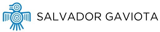 Logo Salvador Gaviota